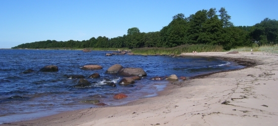 Saaremaal avastati rannast reostus