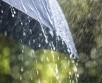 Reedel (7.04) on pilves selgimistega ilm. Mitmel pool sajab vihma.